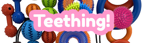 Toys For Teething Puppies