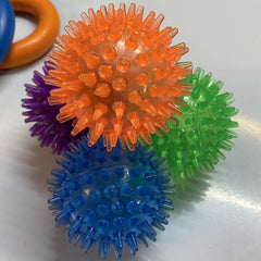 Puppy Teething Box - 4 Teething Toys