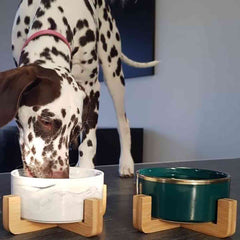 Patch & Willow Luxe Ceramic Bowl (Price Includes Delivery)