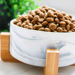 Patch & Willow Luxe Ceramic Bowl (Price Includes Delivery)