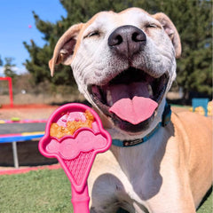 Soda Pup Lick Sticks (price includes delivery)