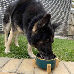 Patch & Willow Luxe Ceramic Bowl (Price Includes Delivery)