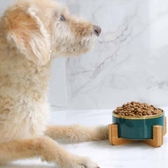 Patch & Willow Luxe Ceramic Bowl (Price Includes Delivery)