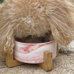 Patch & Willow Luxe Ceramic Bowl (Price Includes Delivery)