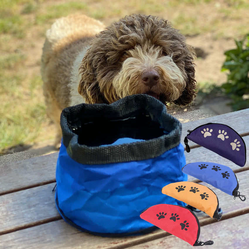 Lagotto Posing with 4 Colours of our Portable Canvas 1 litre Waterbowls - Presents For Paws