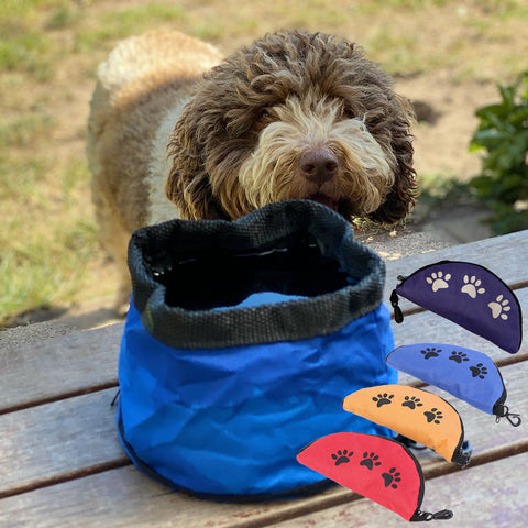 Lagotto Posing with 4 Colours of our Portable Canvas 1 litre Waterbowls - Presents For Paws