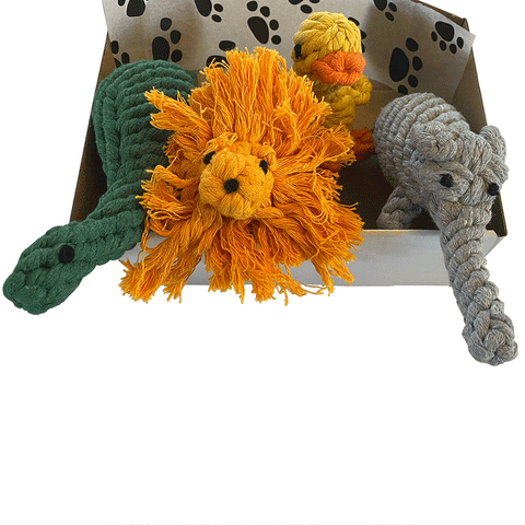 The Pawsome Rope Zoo Gift Box