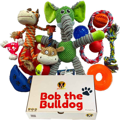 Customised Dog Present Box : Large - Upto 15 Items