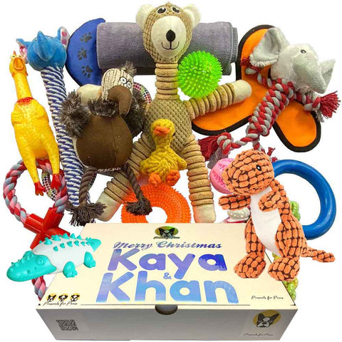 Customised Dog Present Box : Extra Large - Upto 20 Items