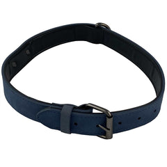 Suede Collars - Pink and Blue - 3 Sizes - Limited Edition!