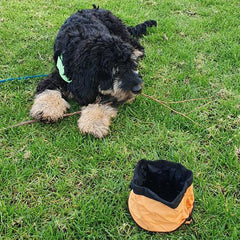 Portable Water Bowl