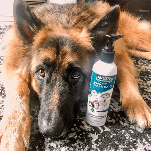 ANUERA™ Animal Nutrition Tasmanian Salmon Oil 250ml (Includes Delivery)