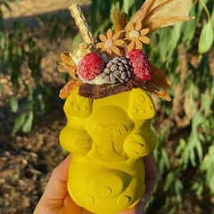 SodaPup Honey Bear - Large (price includes delivery)