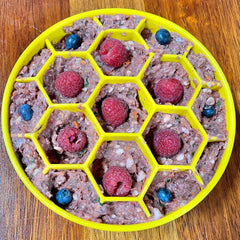 SodaPup Honeycomb eBowl Slow Feeder (price includes shipping)