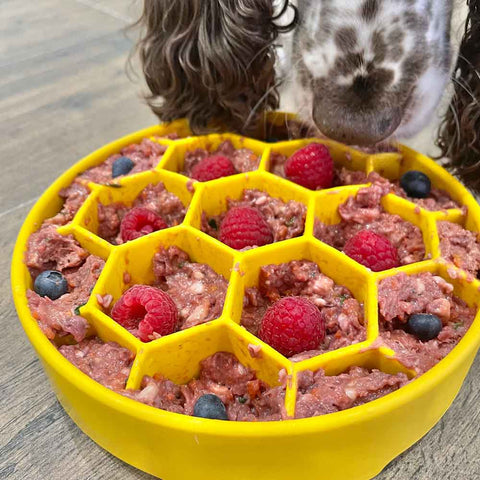 SodaPup Honeycomb eBowl Slow Feeder (price includes shipping)