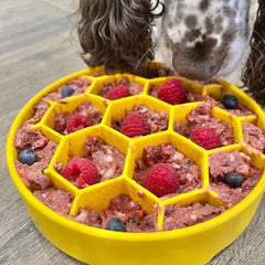 SodaPup Honeycomb eBowl Slow Feeder (price includes shipping)