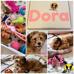 Customised Dog Present Box : Medium - Upto 10 Items