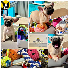 Customised Dog Present Box : Medium - Upto 10 Items