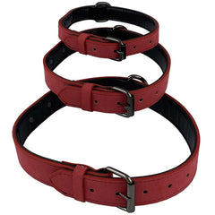 Suede Collars - Pink and Blue - 3 Sizes - Limited Edition!