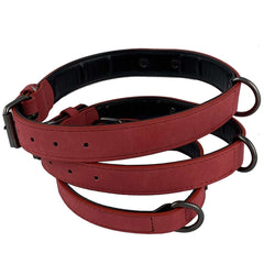 Suede Collars - Pink and Blue - 3 Sizes - Limited Edition!