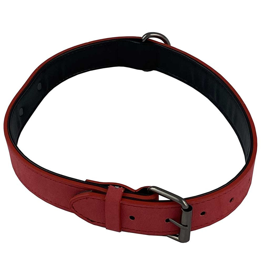 Suede Collars - Pink and Blue - 3 Sizes - Limited Edition!