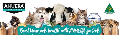 Boost Your Dogs health with ANUERA for Pets: The Ultimate Holistic Multi-functional Supplements For Pets