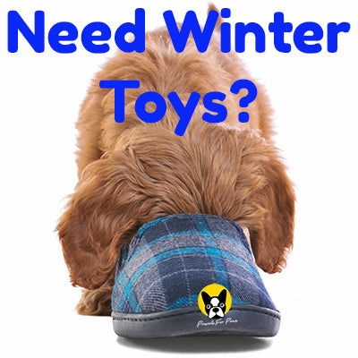 Beating Boredom & Keeping Dogs Entertained This Winter