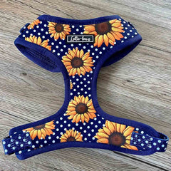 Lottie Lou Harnesses (price includes delivery)