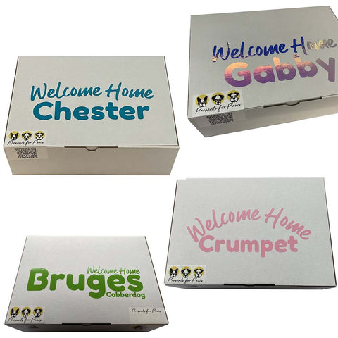 Puppy Welcome Home Box