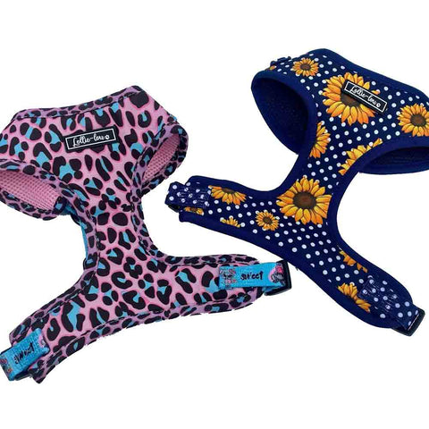 Lottie Lou Harnesses (price includes delivery)