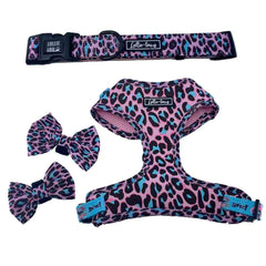 Lottie Lou Harnesses (price includes delivery)