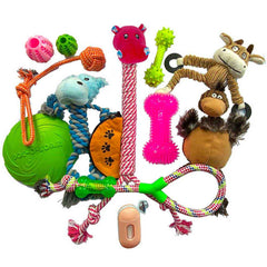 Large Customised Dog Toy selection of 15 Different Toys
