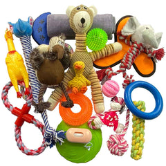 Extra Large Customised Dog Toy selection of 20 Different Toys
