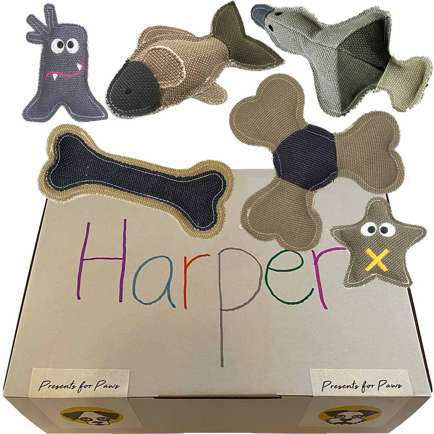 Set of 6 Linen Soft Toys for Dogs in customised gift box - Presents For Paws