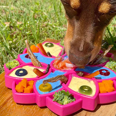 Cheers.US Dog Puzzle Toys, Dog Enrichment Toys, Food Dispenser