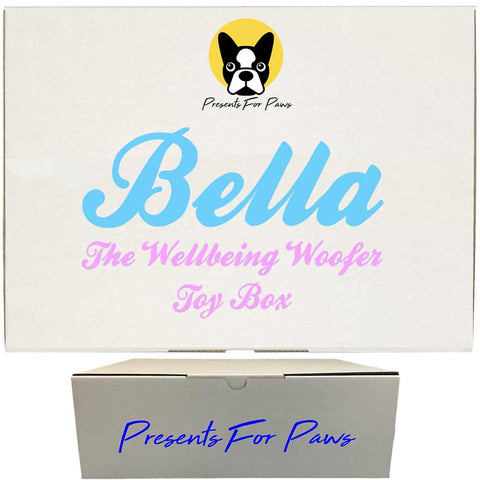 Corporate Gift Box for Dogs - The Wellness Woofer Toy Box by Presents For Paws