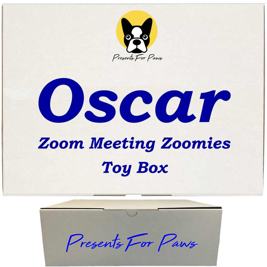 Corporate Gift Box for Dogs - Zoom Meeting Zoomies Toy Box by Presents For Paws